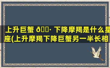 上升巨蟹 🌷 下降摩羯是什么星座(上升摩羯下降巨蟹另一半长相)